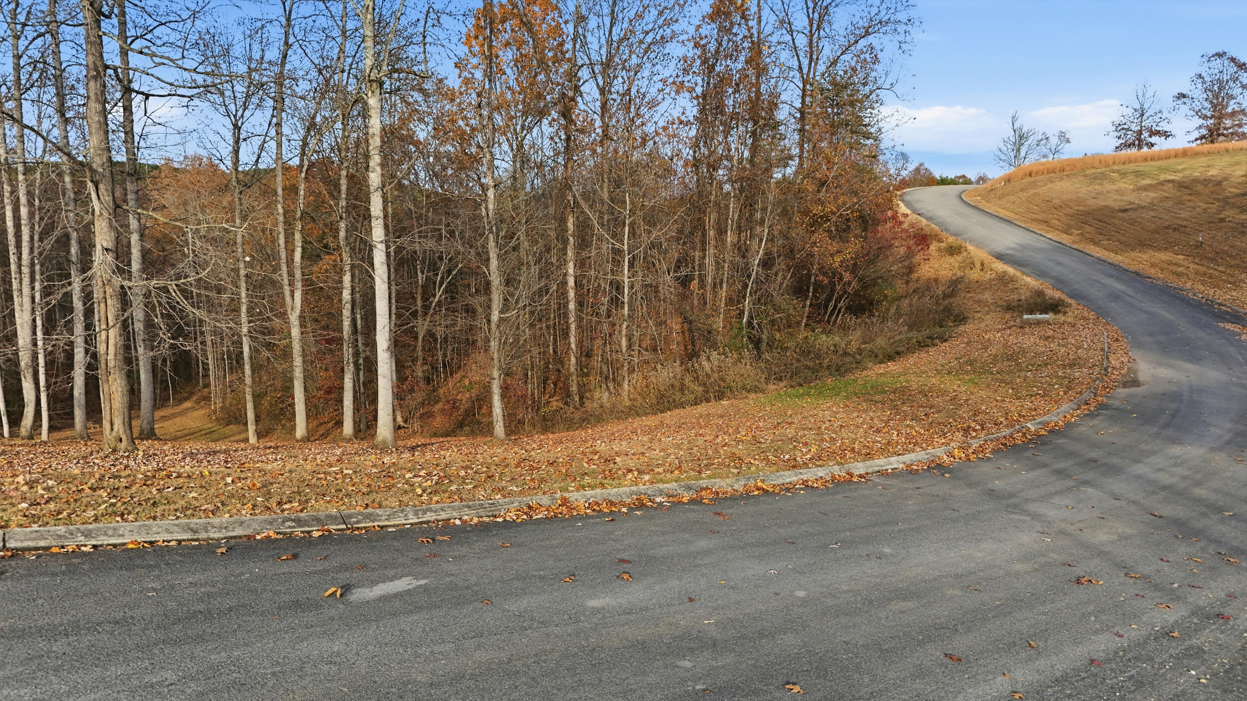 481 Hidden Forest Trail Spring Spring City, TN 37381 - Photo 2 of 10 481 hidden forest – lot 24-1