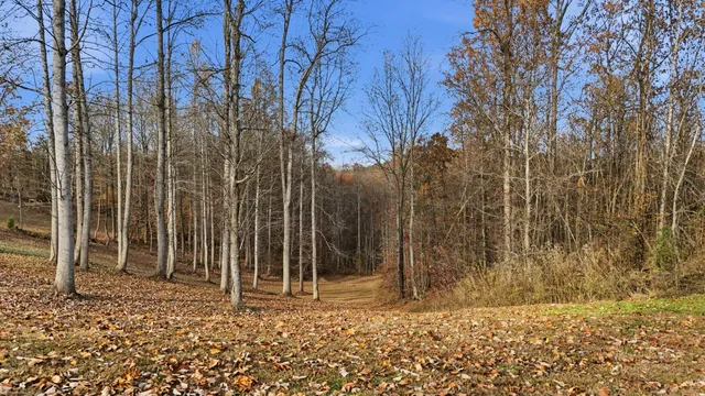 $39,900 | 481 Hidden Forest Trail Spring, Spring City, TN 37381