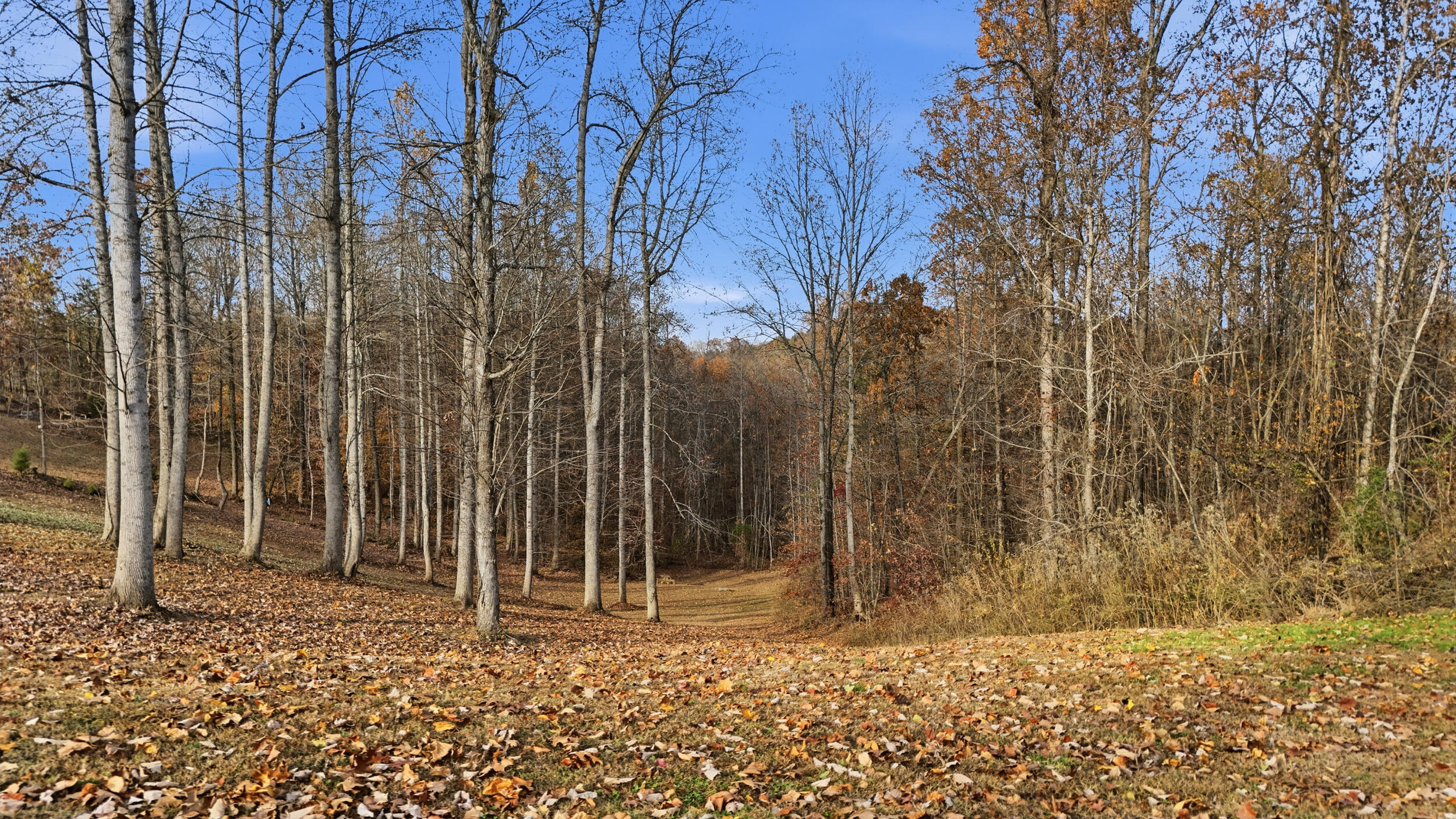 481 Hidden Forest Trail Spring Spring City, TN 37381 - Photo 3 of 10 481 hidden forest – lot 24-2