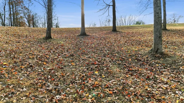 $39,900 | 481 Hidden Forest Trail Spring, Spring City, TN 37381