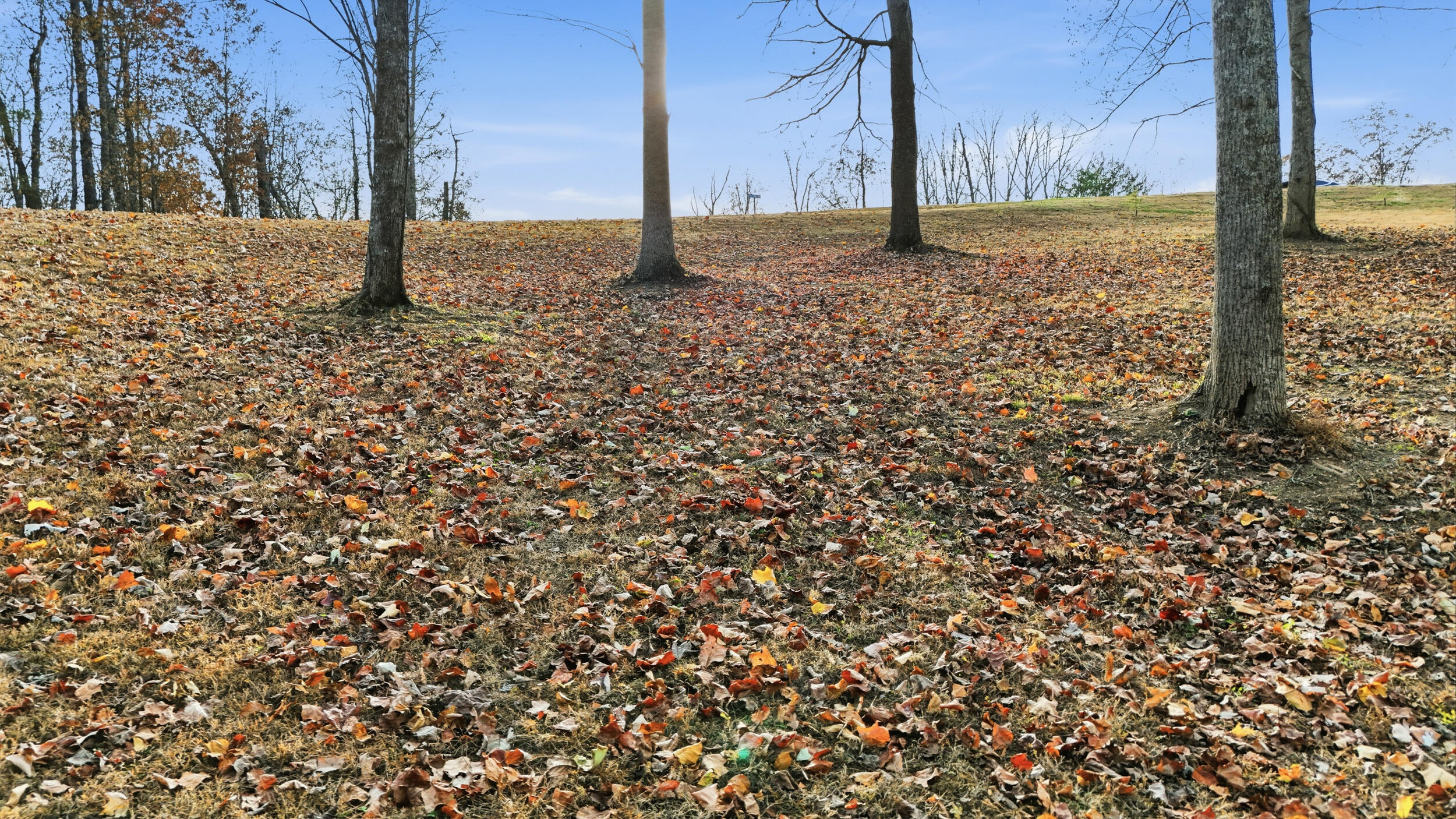 481 Hidden Forest Trail Spring Spring City, TN 37381 - Photo 5 of 10 481 hidden forest – lot 24-4