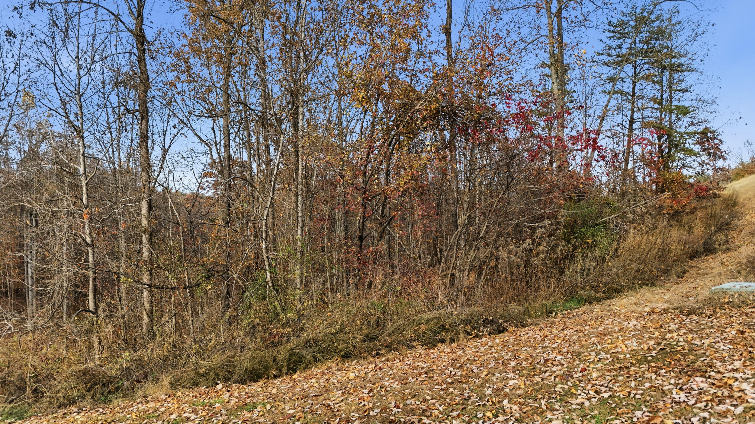 481 Hidden Forest Trail Spring Spring City, TN 37381 - Photo 7 of 10 481 hidden forest – lot 24-7
