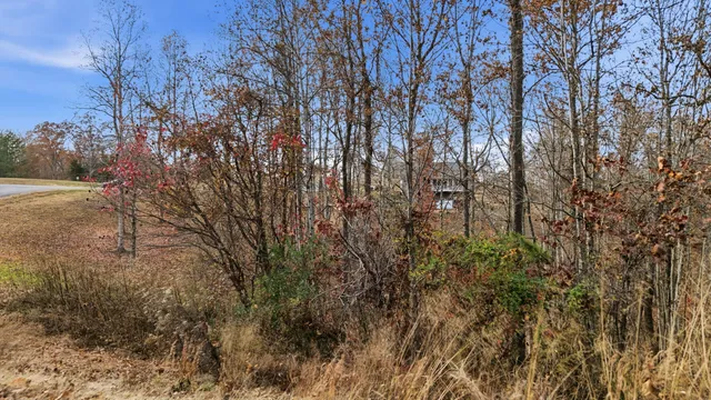 $39,900 | 481 Hidden Forest Trail Spring, Spring City, TN 37381