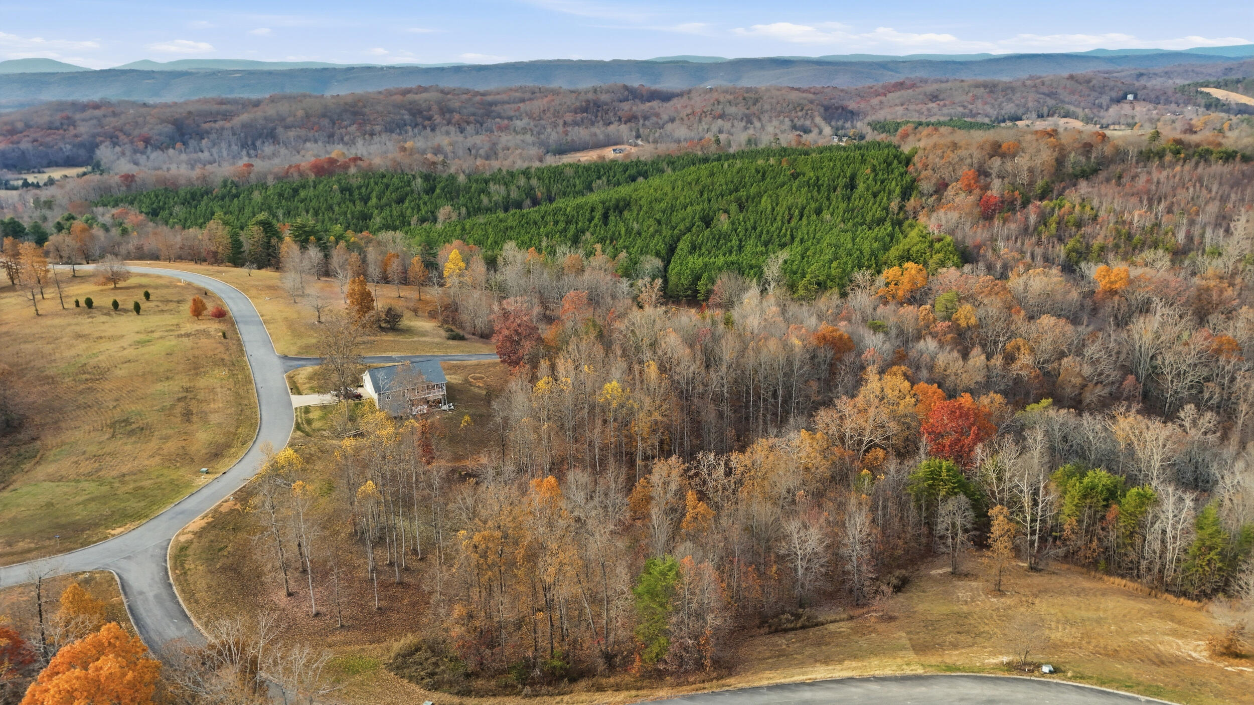 481 Hidden Forest Trail Spring Spring City, TN 37381 - Photo 9 of 10 481 hidden forest – lot 24-9