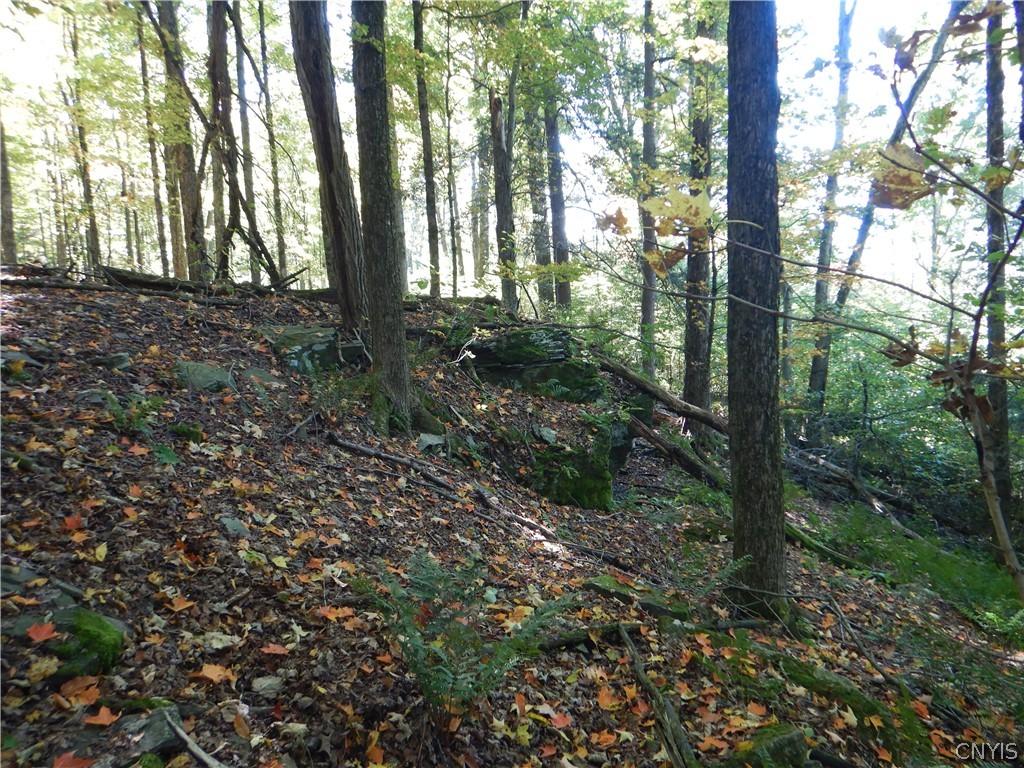 Phillips Road Windsor, NY 13865 - Photo 23 of 43 Gallery Image 23
