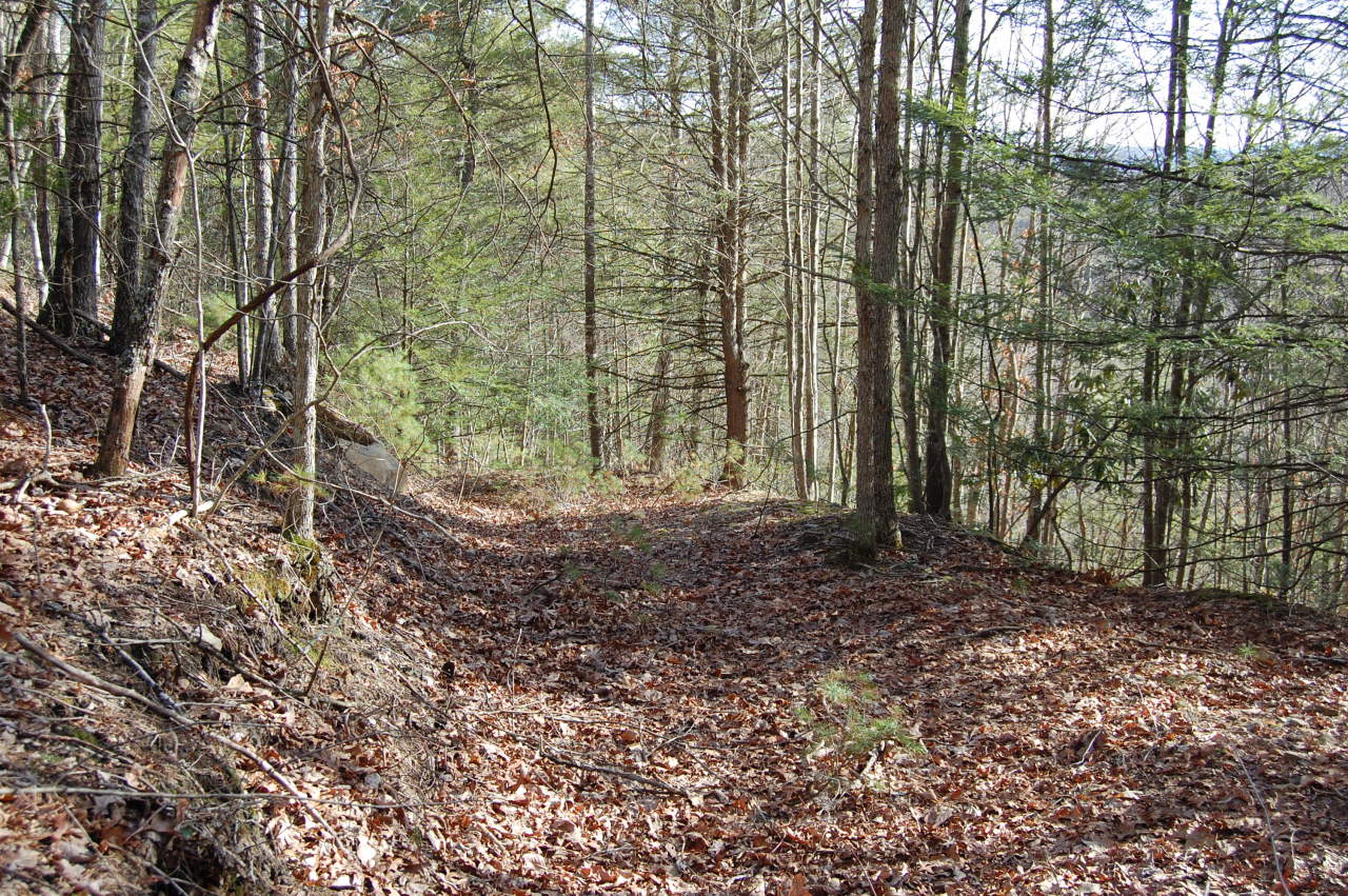 1305 Ellery Lloyd Road Union, WV 24983 - Photo 33 of 37 Gallery Image 33
