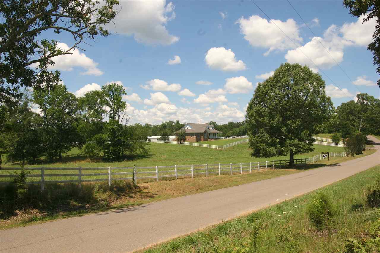 1595 Doe Road Saltillo, TN 38370 - Photo 2 of 25