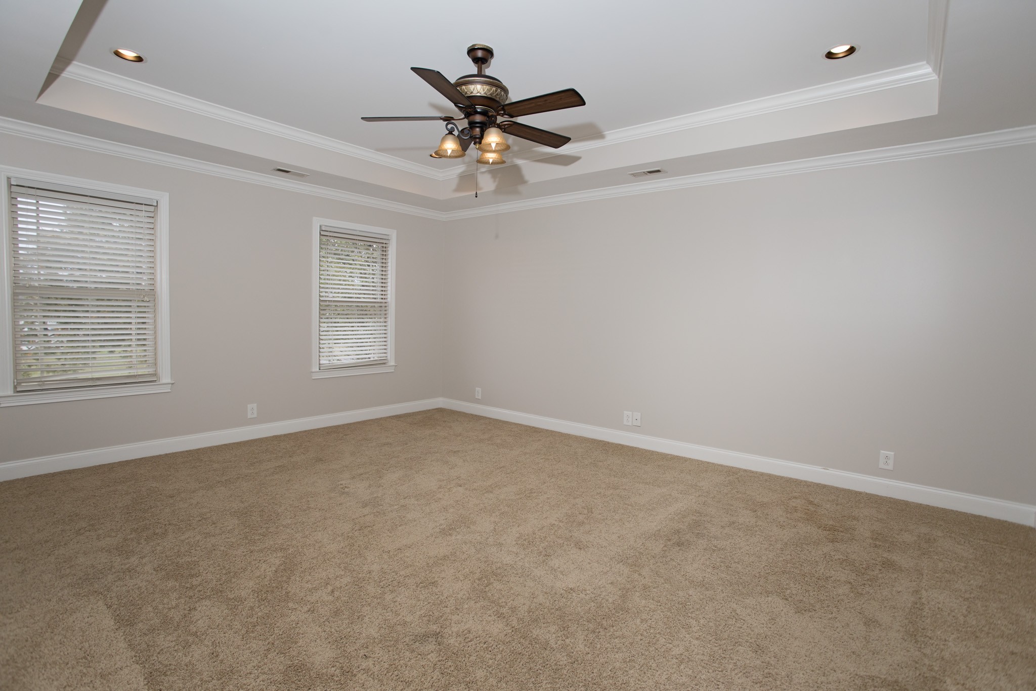 5325 Fred Perry Road Springfield, TN 37172 - Photo 11 of 26 an empty room with ceiling fan and windows