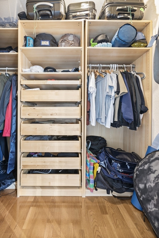 30 Stearns Road, Unit 201 Brookline, MA 02446 - Photo 19 of 29 a view of walk in closet with clothes and shoes