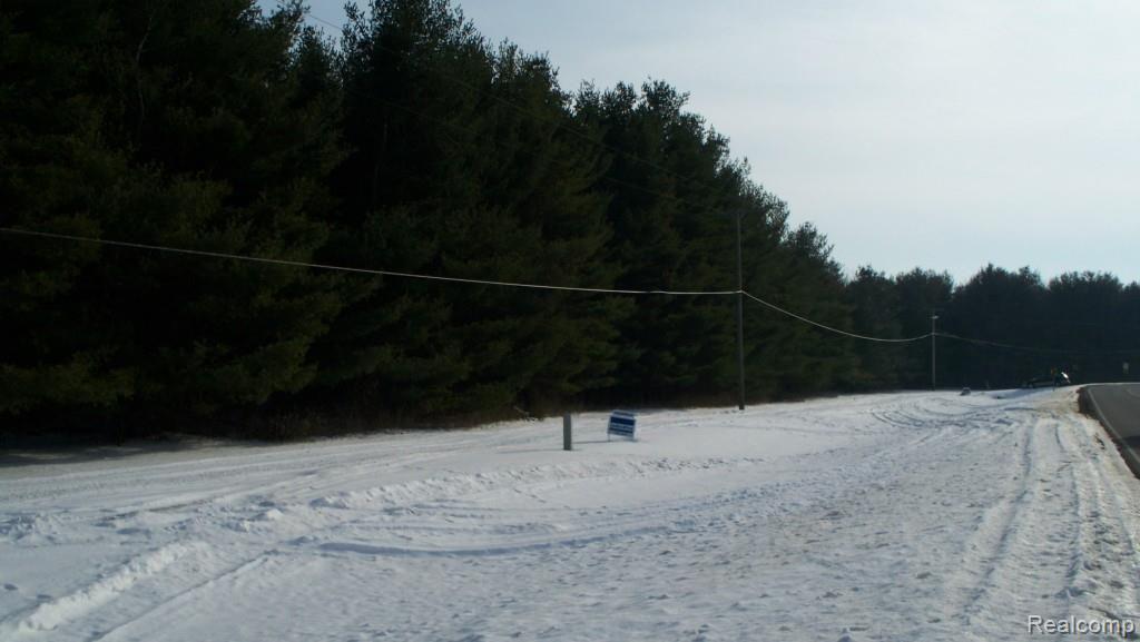 B Black River Road Croswell, MI 48422 - Photo 5 of 11 Gallery Image 5