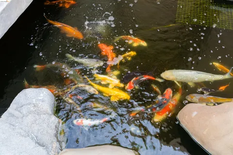 view of a black and white photo