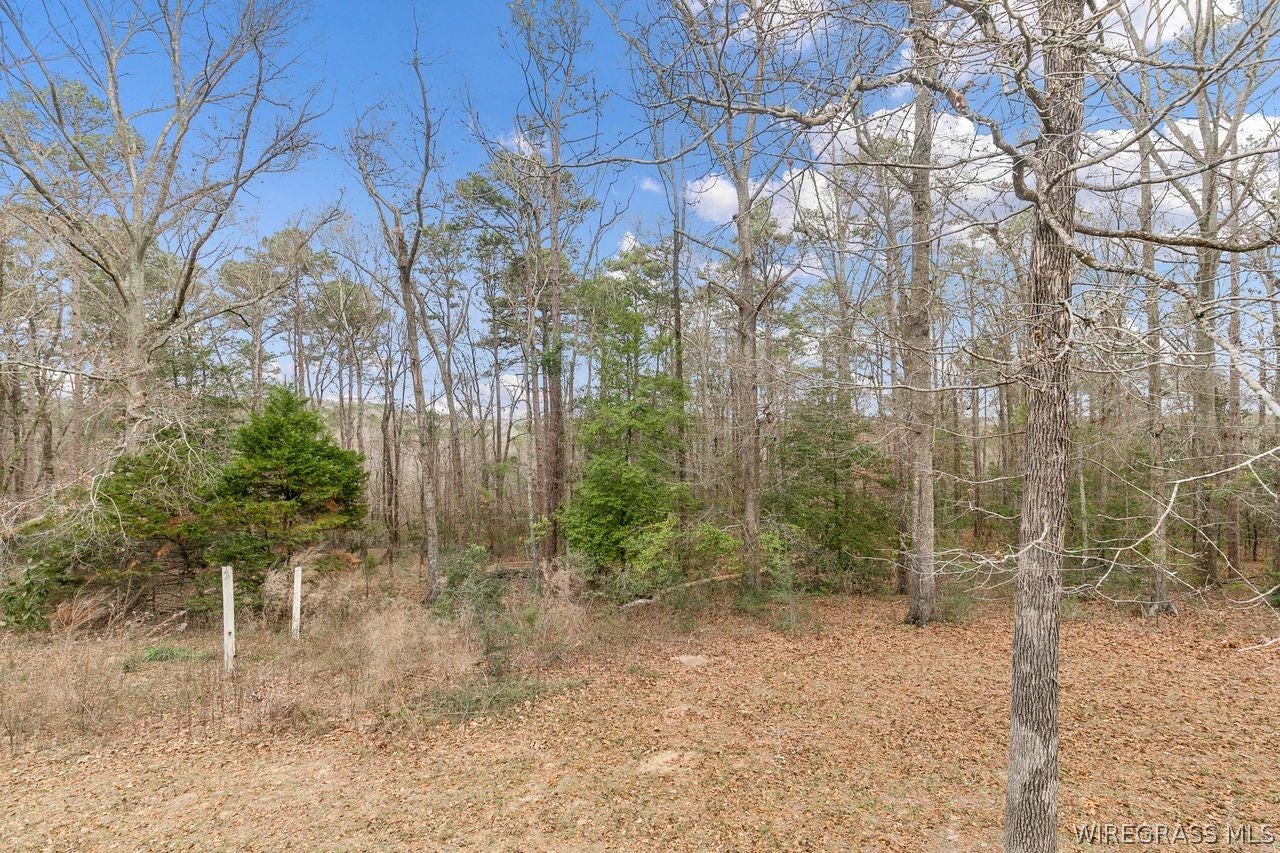 1499 A B Stubbs Road Ozark, AL 36360 - Photo 32 of 32 Gallery Image 32