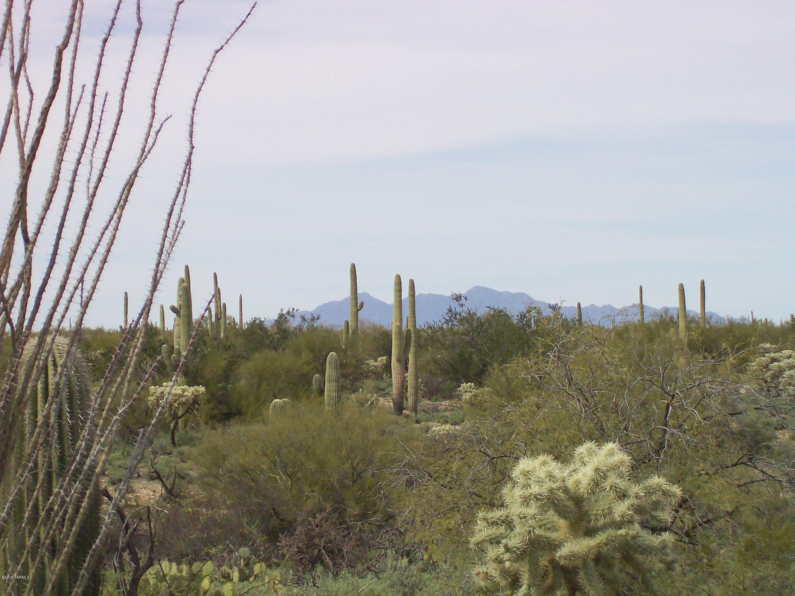 0 Derrio Road Marana, AZ 85658 - Photo 12 of 14