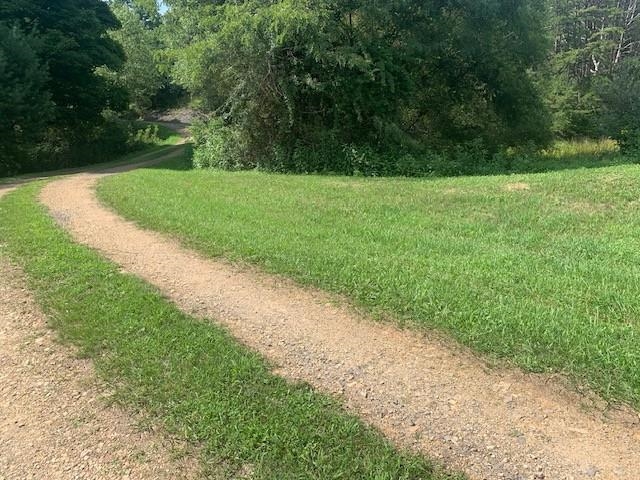 12002 Jackson River Road Monterey, VA 24465 - Photo 10 of 40 Gallery Image 10