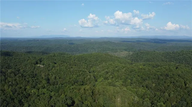 a view of a big yard