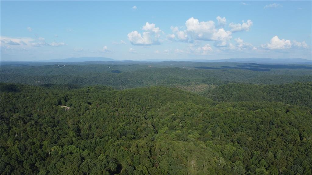 169 Jasmine Drive Ranger, GA 30734 - Photo 12 of 61 a view of a big yard