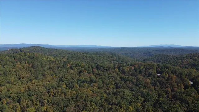 a view of a big yard of a house