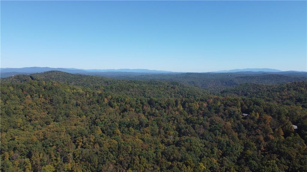 169 Jasmine Drive Ranger, GA 30734 - Photo 14 of 61