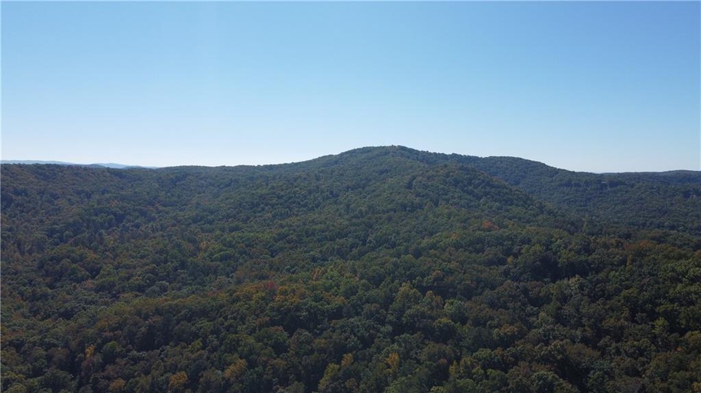 169 Jasmine Drive Ranger, GA 30734 - Photo 16 of 61 a view of a mountain range with trees in the background