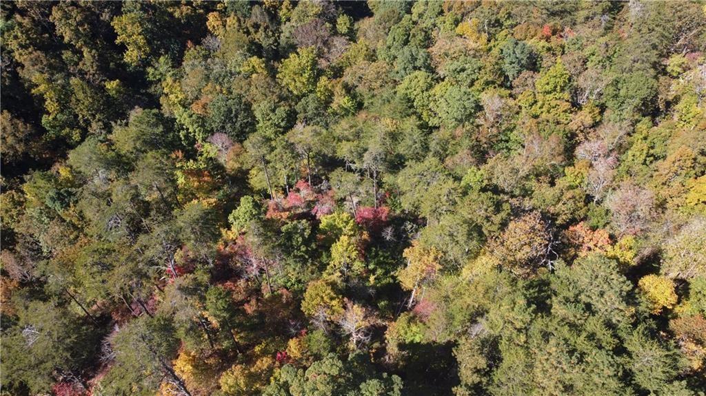 169 Jasmine Drive Ranger, GA 30734 - Photo 18 of 61