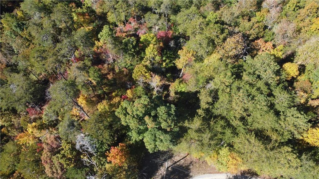 169 Jasmine Drive Ranger, GA 30734 - Photo 19 of 61