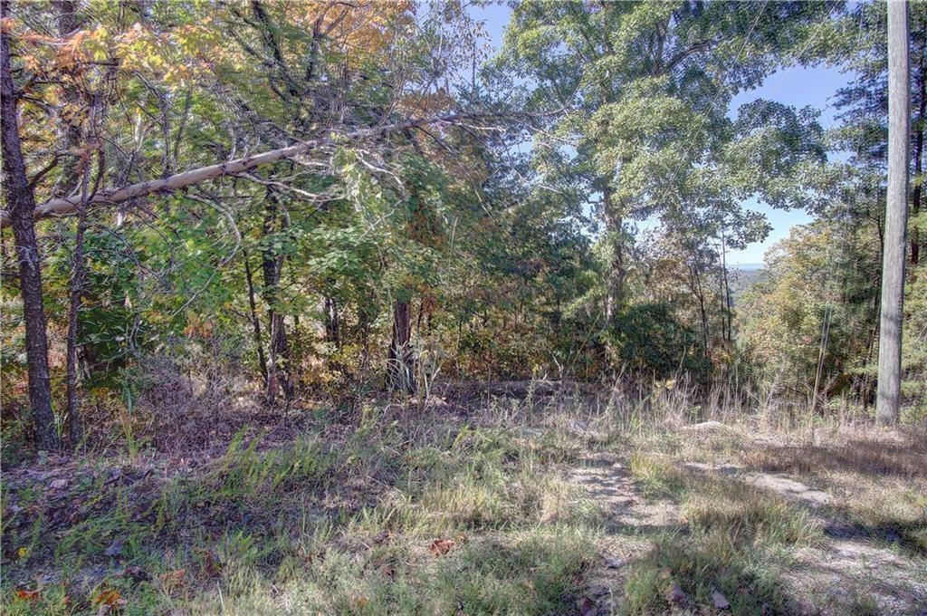 169 Jasmine Drive Ranger, GA 30734 - Photo 2 of 61 a view of a forest with trees in the background