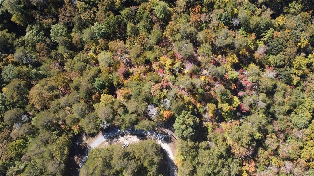 169 Jasmine Drive Ranger, GA 30734 - Photo 25 of 61 a view of a lot of trees