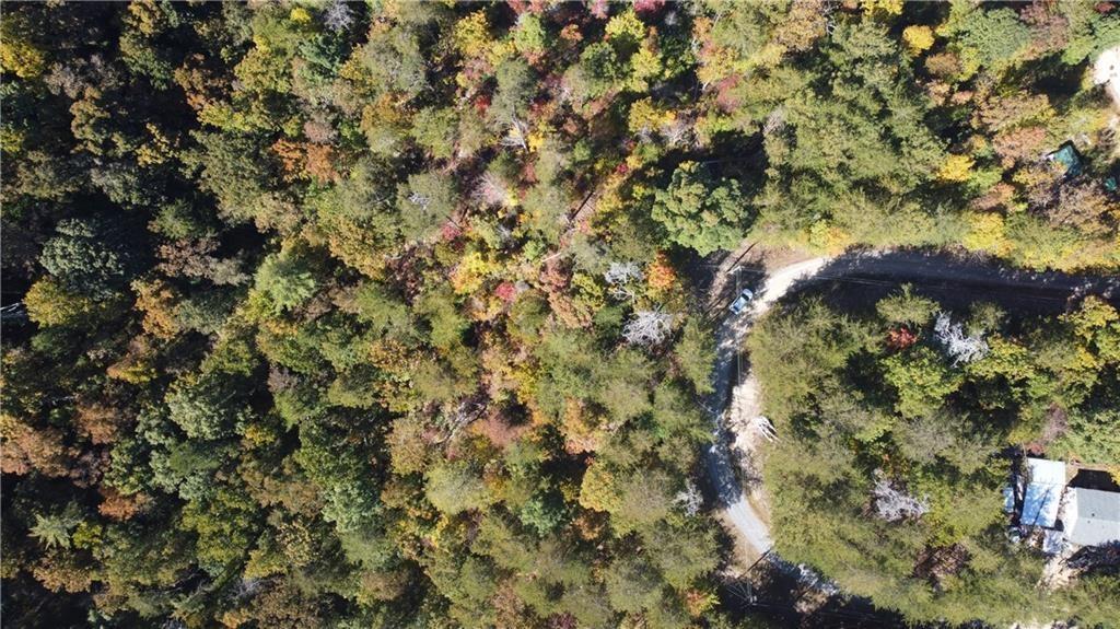 169 Jasmine Drive Ranger, GA 30734 - Photo 27 of 61 a view of a tree