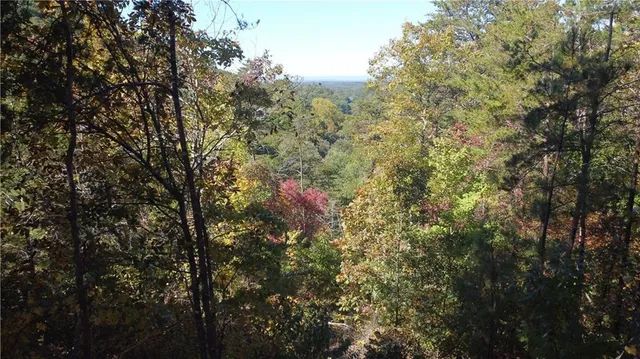 a view of a park with large trees