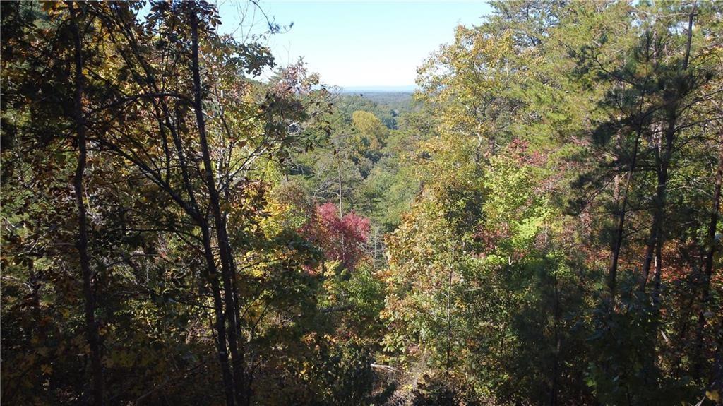 169 Jasmine Drive Ranger, GA 30734 - Photo 30 of 61 a view of a forest with a tree