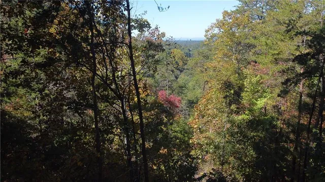 a view of a yard with plants and trees