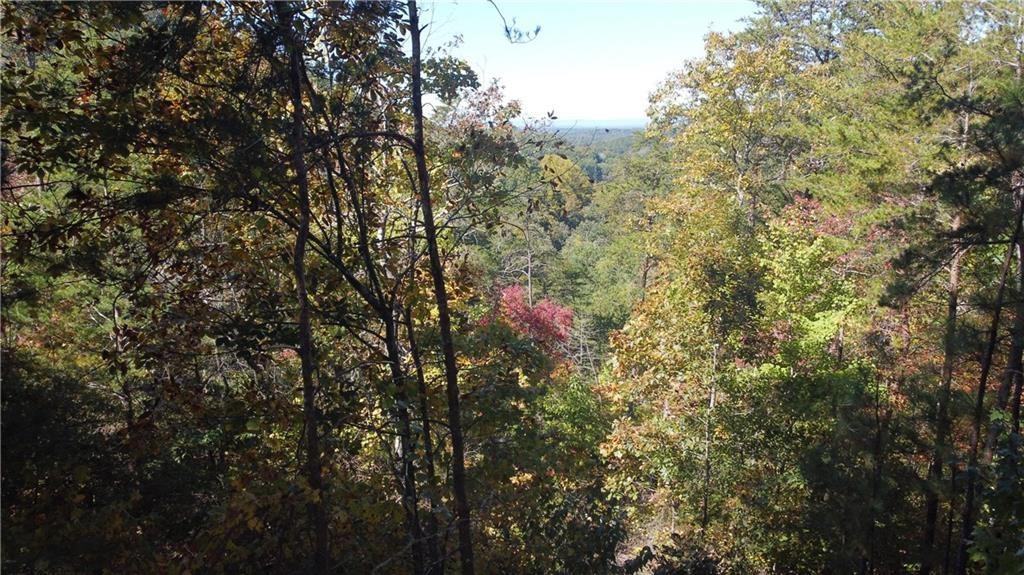 169 Jasmine Drive Ranger, GA 30734 - Photo 31 of 61