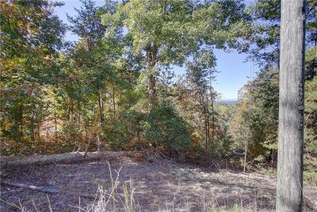 169 Jasmine Drive Ranger, GA 30734 - Photo 32 of 61 a view of a forest with large trees
