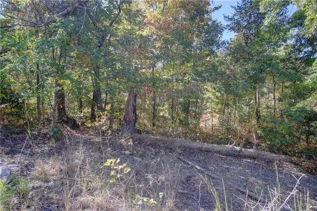 a view of a swimming pool