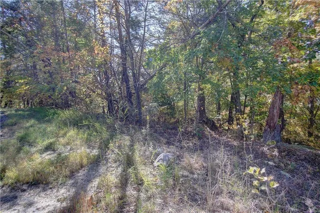 a view of a lake with a mountain in the background
