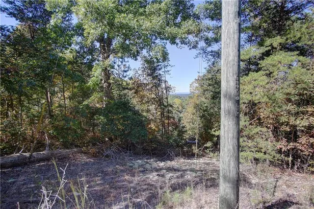a view of a plant in a pot