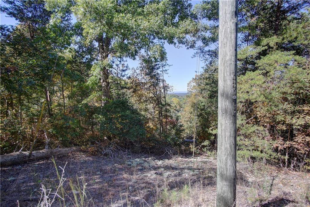 169 Jasmine Drive Ranger, GA 30734 - Photo 35 of 61 a view of a forest that has a tree