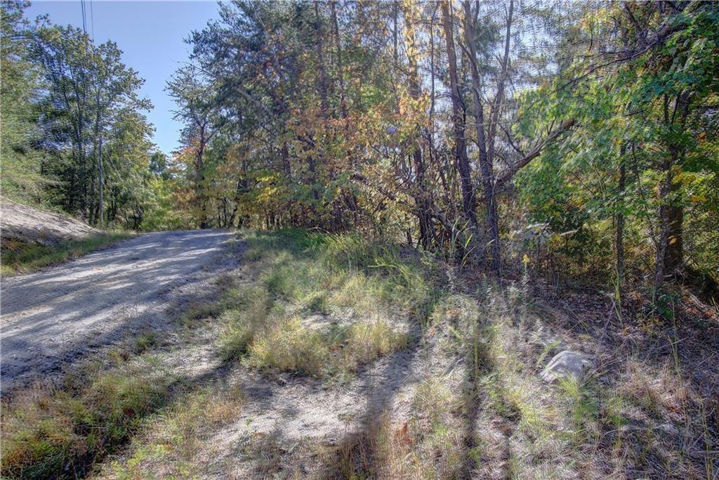 169 Jasmine Drive Ranger, GA 30734 - Photo 36 of 61 a view of a forest with trees in back