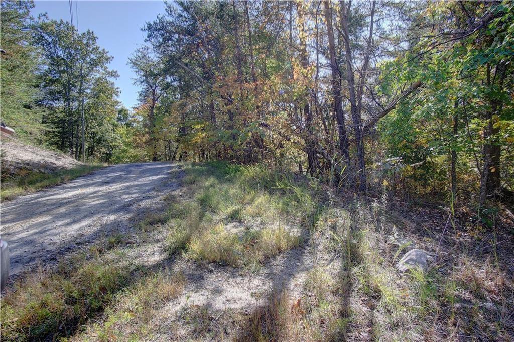 169 Jasmine Drive Ranger, GA 30734 - Photo 37 of 61 a view of a forest with trees in the background