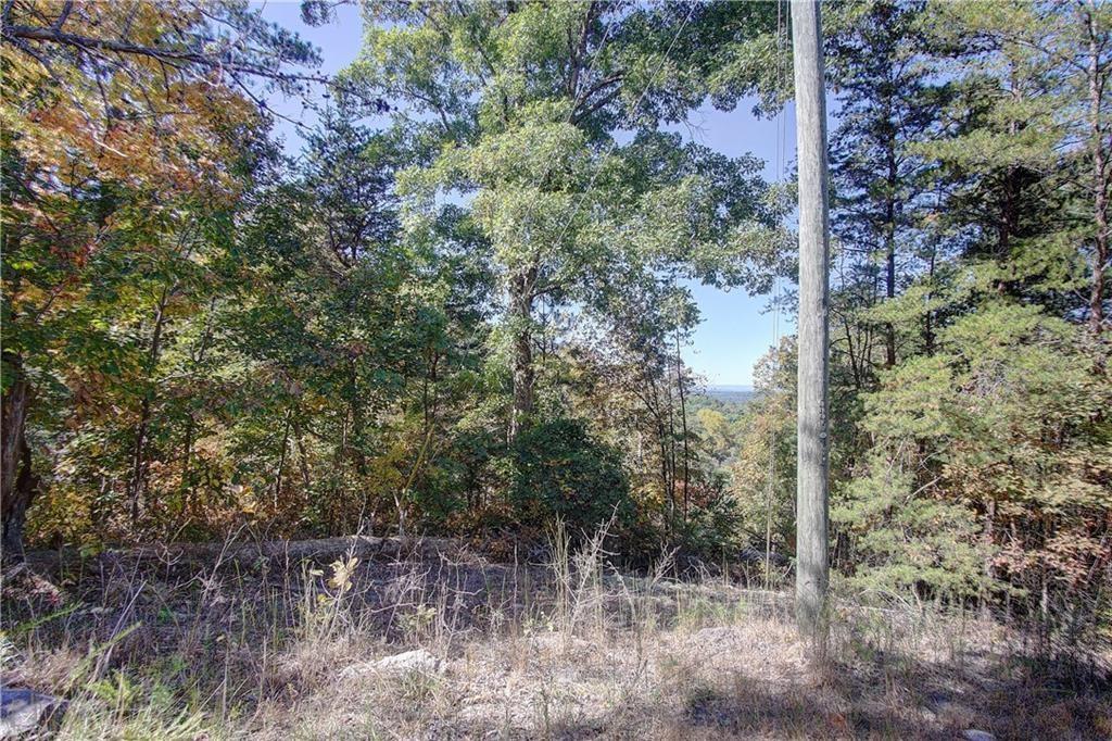 169 Jasmine Drive Ranger, GA 30734 - Photo 4 of 61 a view of a forest filled with trees