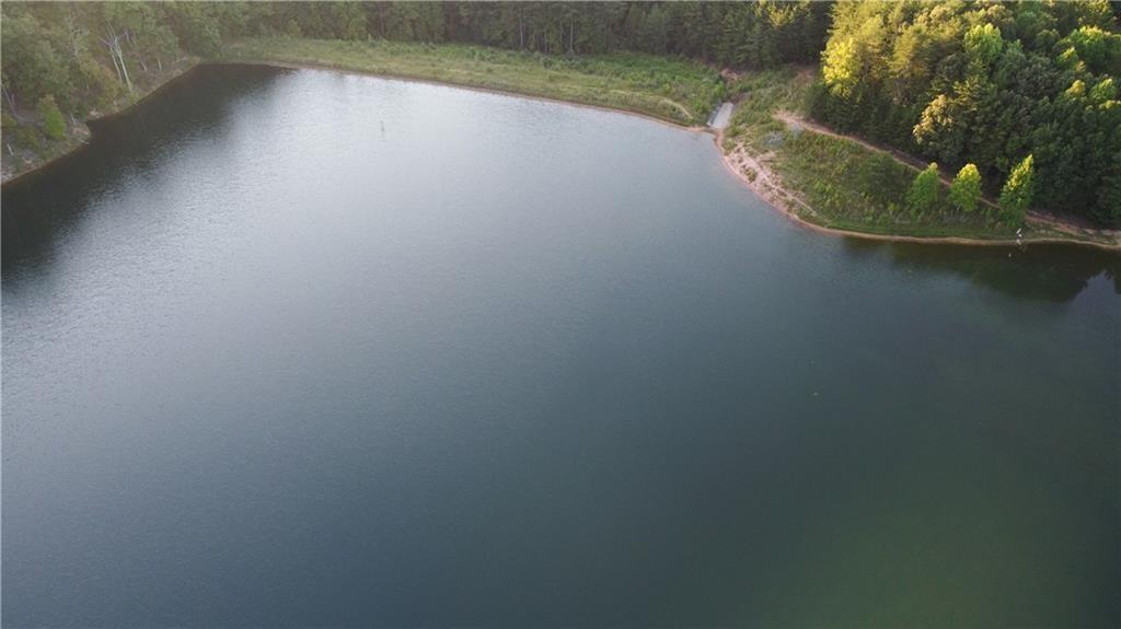 169 Jasmine Drive Ranger, GA 30734 - Photo 44 of 61 a view of a plant in a pot