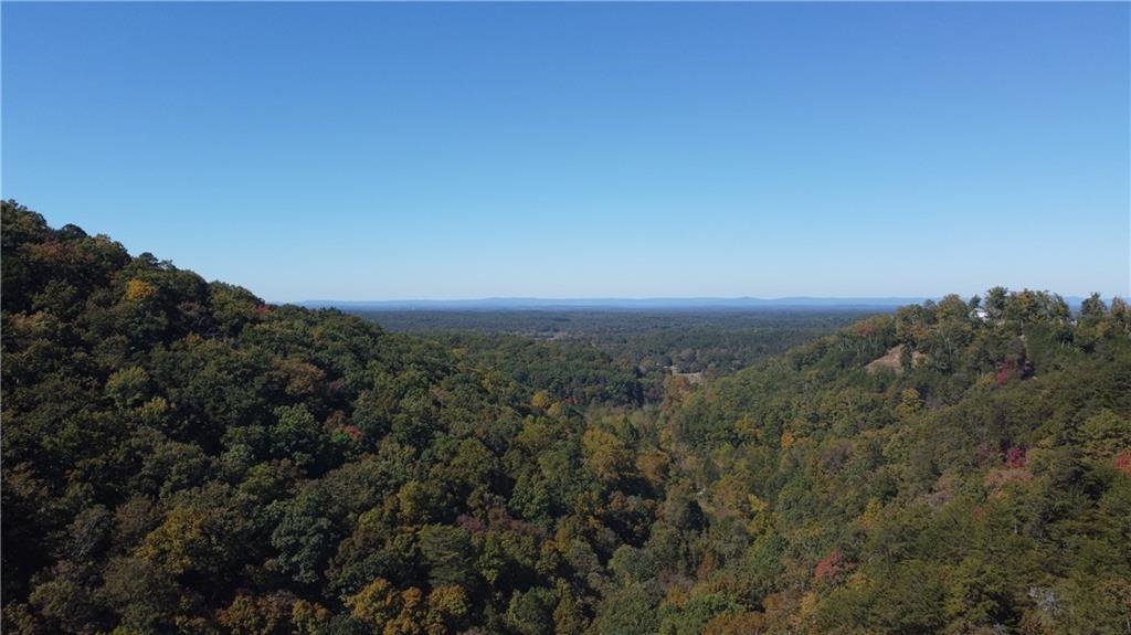 169 Jasmine Drive Ranger, GA 30734 - Photo 5 of 61 a view of a city with lush green forest