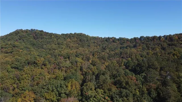 a view of a large mountain range with trees in the background