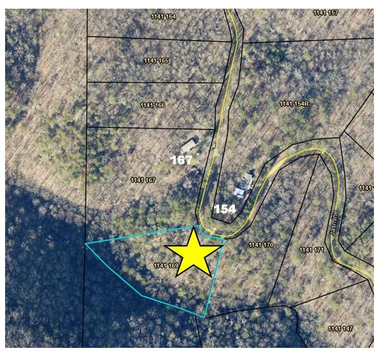 169 Jasmine Drive Ranger, GA 30734 - Photo 61 of 61 a view of a yard with swimming pool