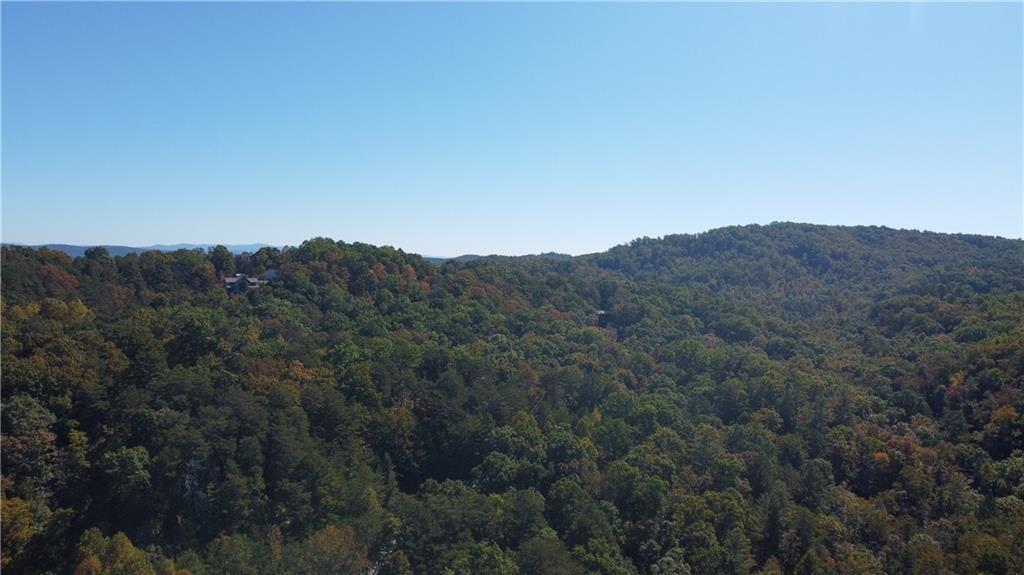 169 Jasmine Drive Ranger, GA 30734 - Photo 7 of 61 a view of a mountain in the distance in a field