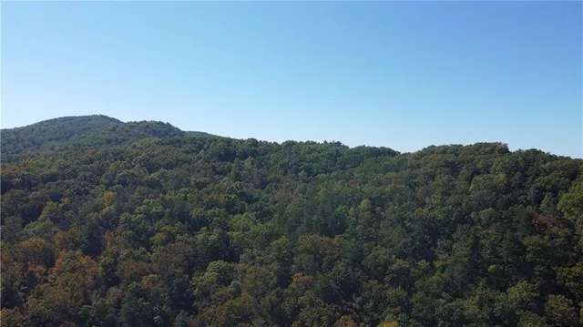 a view of a mountain range with trees in the background