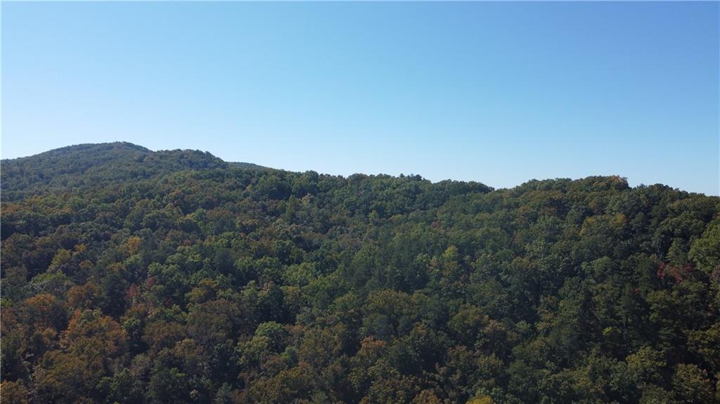 169 Jasmine Drive Ranger, GA 30734 - Photo 8 of 61 a view of a mountain range with trees in the background