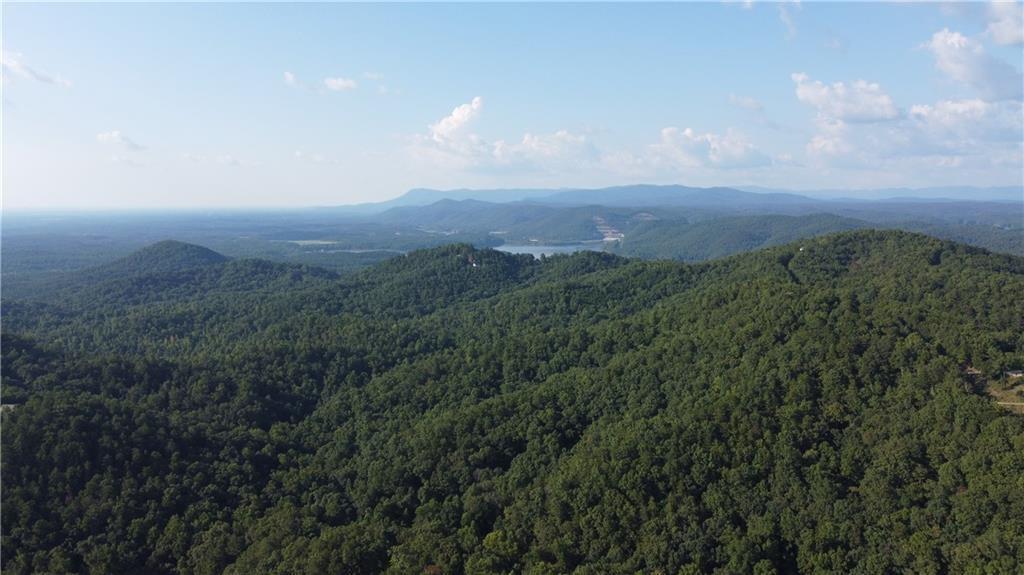169 Jasmine Drive Ranger, GA 30734 - Photo 10 of 61 a view of a city and mountains in a field