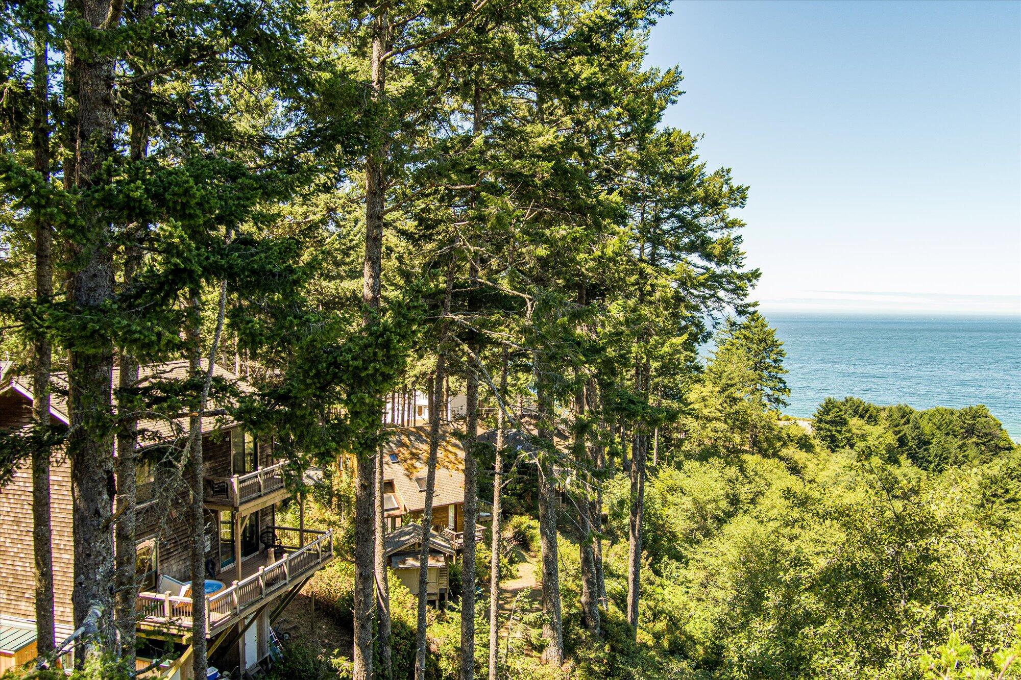 737 Beach Road Whitethorn, CA 95589 - Photo 27 of 67