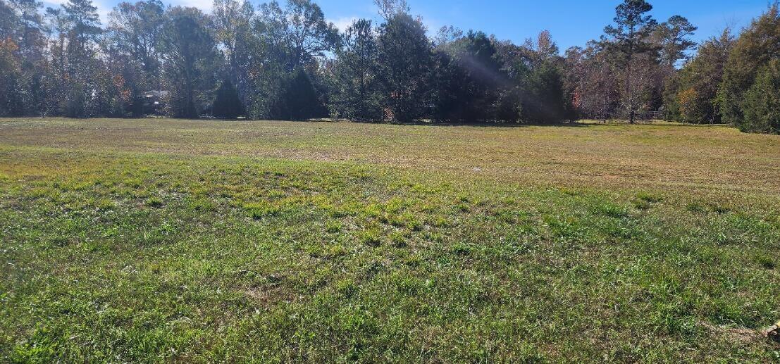 2002 Mims Road Hephzibah, GA 30815 - Photo 3 of 4 20241130193107878468000000-o